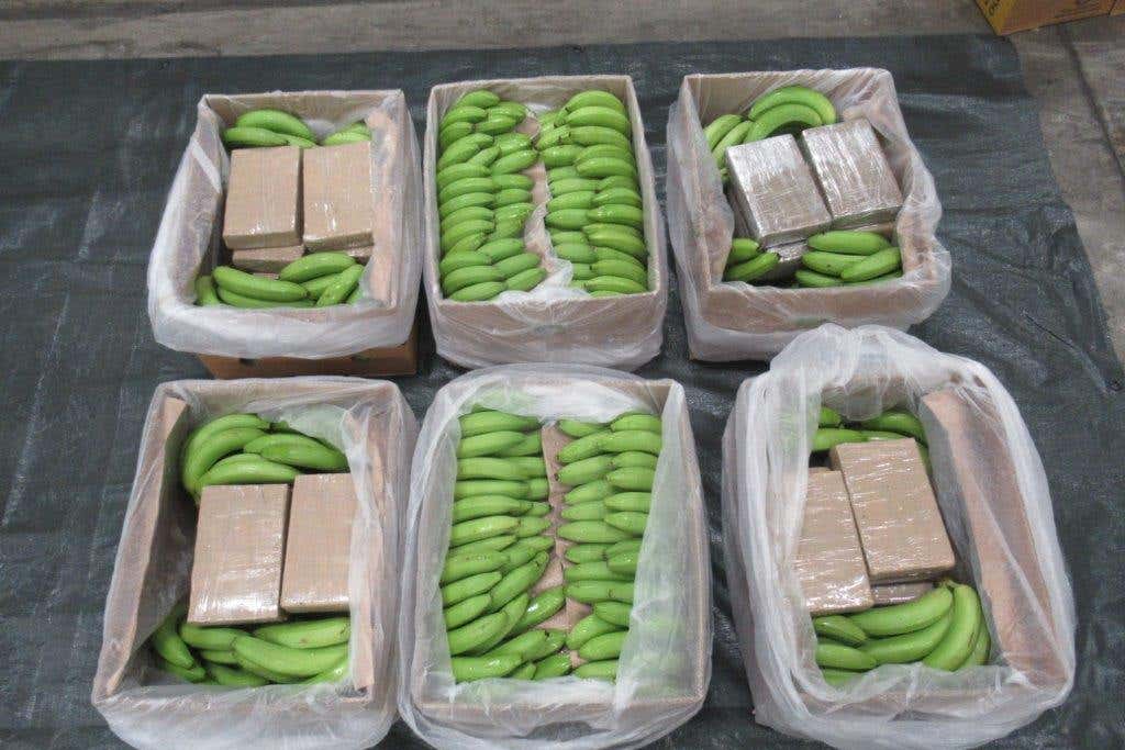 Largest class A drugs haul worth £450 million found in banana shipment at port