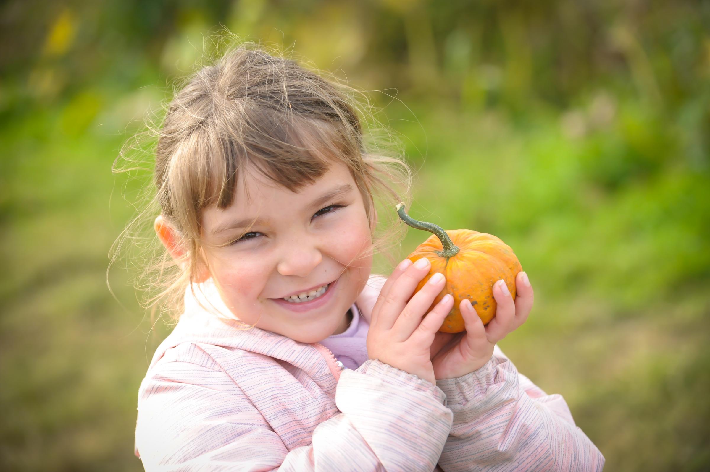 Pumpkin Festival returns to Willows Activity Farm this month for Halloween